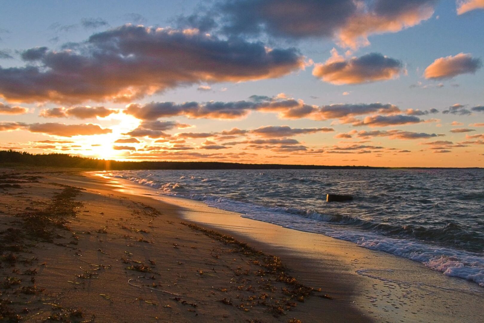 beach sunset