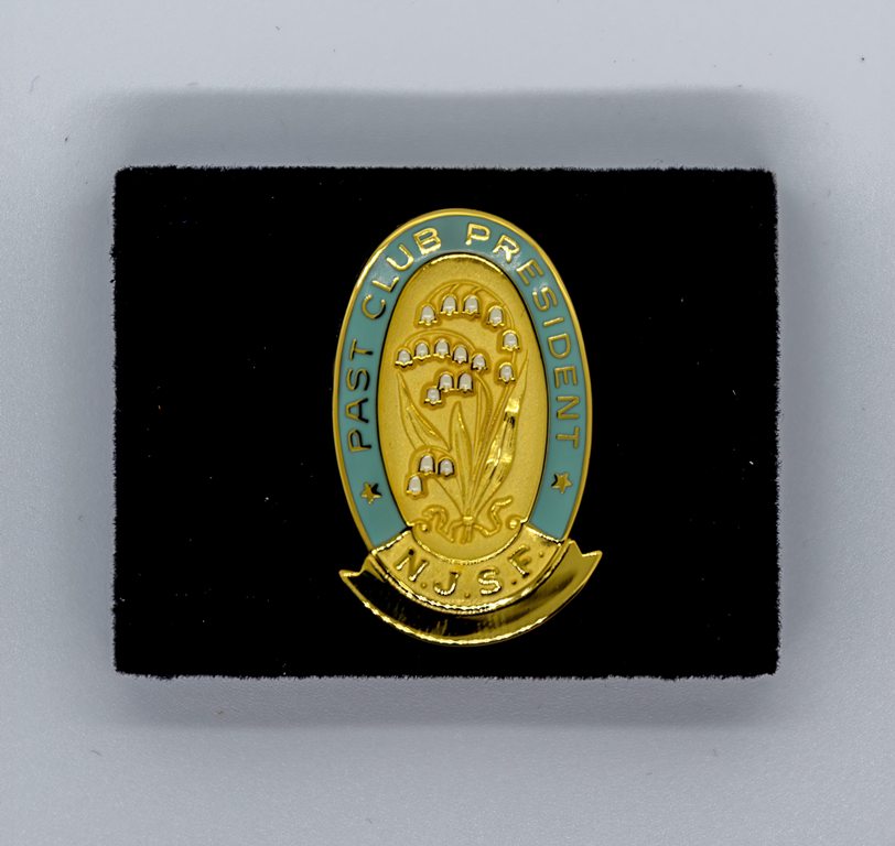 Details about   1/10 10K Gold & enamel Past Illinois Federation Women's Clubs President Pin 
