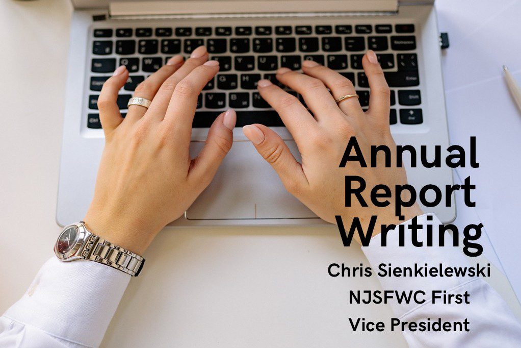 Zoom Report Workshop Presentation edited cover photo